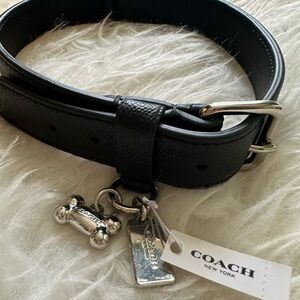 Black leather Coach dog collar